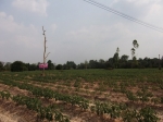 ขายที่ดิน พนมสารคาม ฉะเชิงเทรา  ถนน 304: