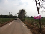 ขายที่ดิน พนมสารคาม ฉะเชิงเทรา  ถนน 304: